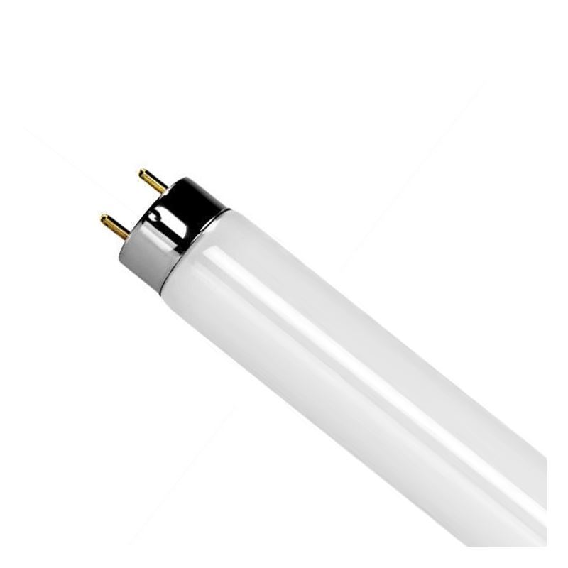 F15T8/CW 15w T8 Linear Fluorescent Cool White G13